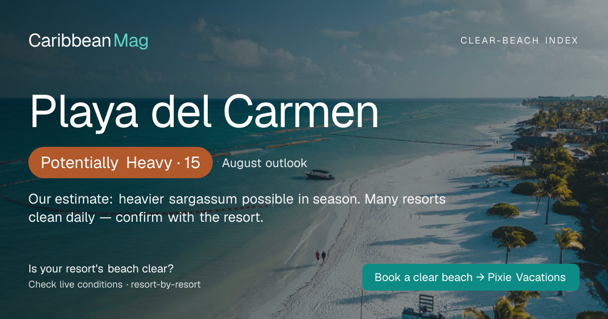 Playa del Carmen clear-beach status card